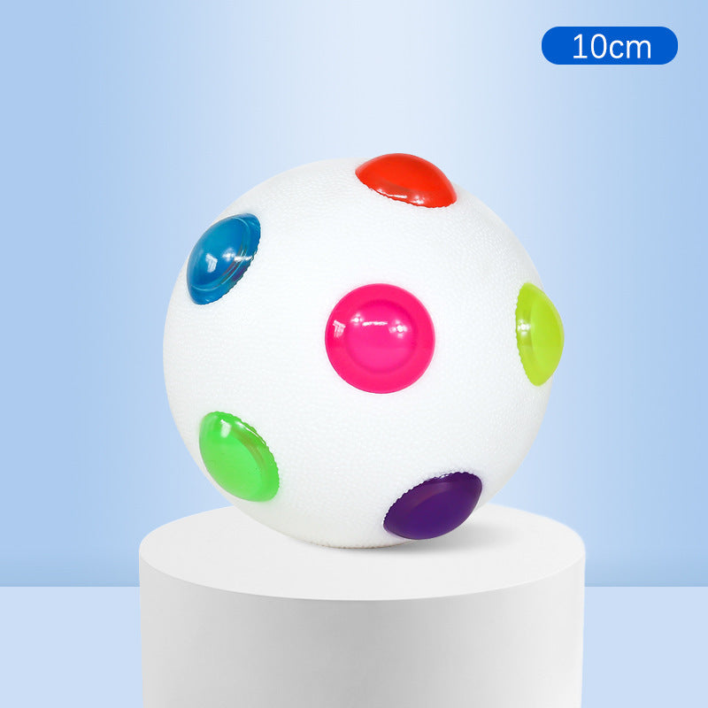 Small Dog Pet Training Interactive Luminous Elastic Ball