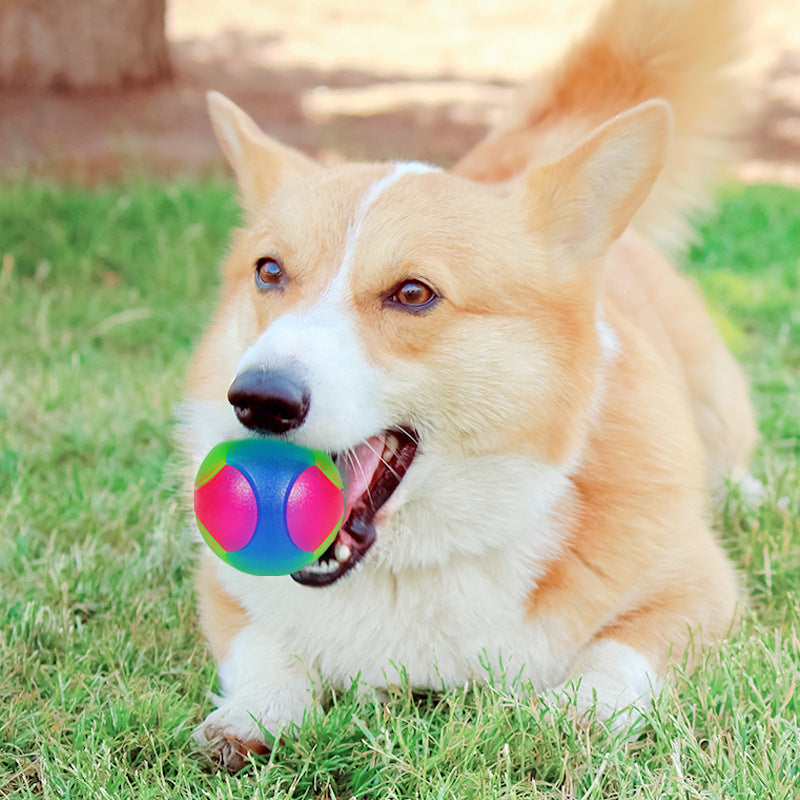 Small Dog Pet Training Interactive Luminous Elastic Ball