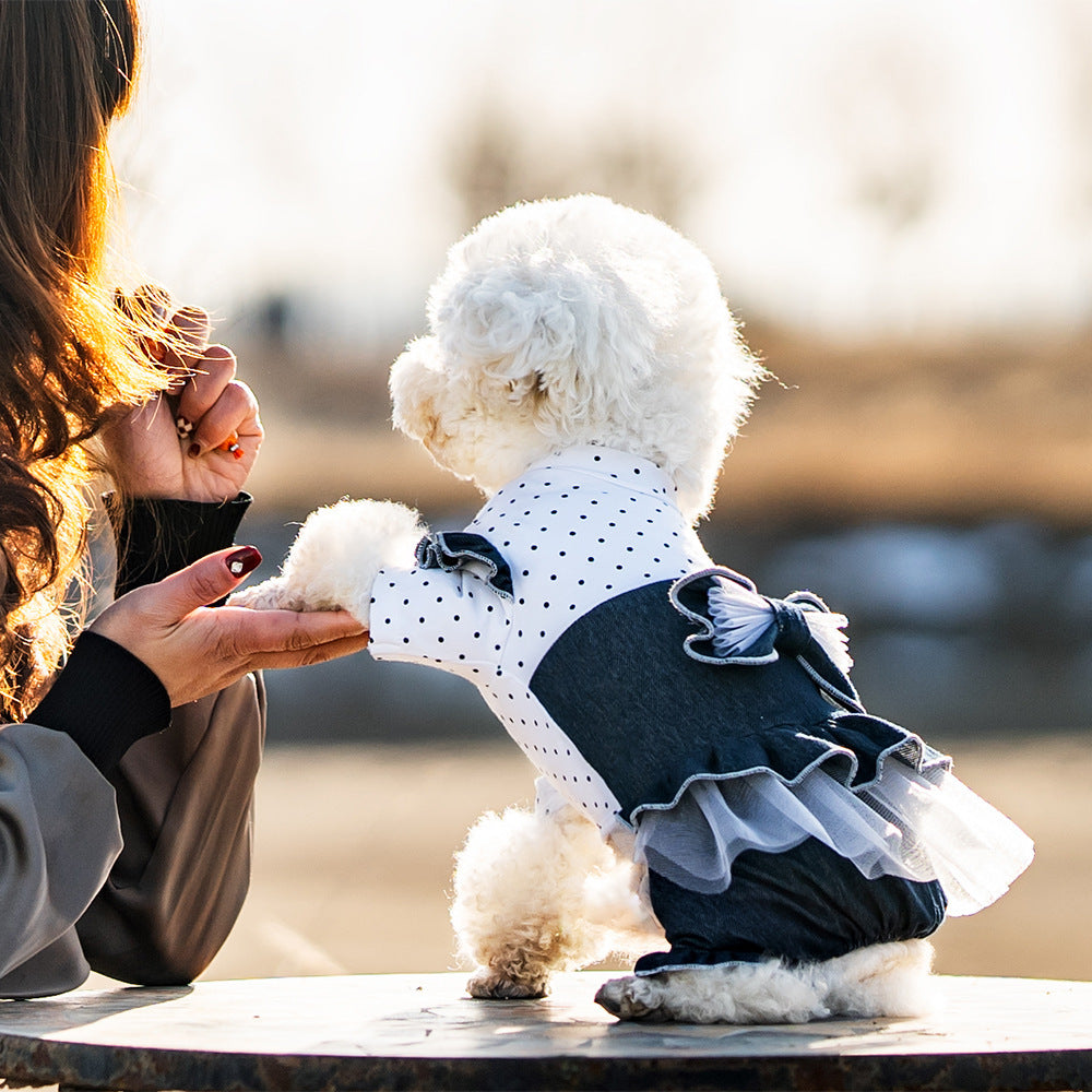 Pet Spring And Summer Thin New Denim Bow Princess Mesh Pettiskirt