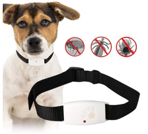 Dog insect repeller