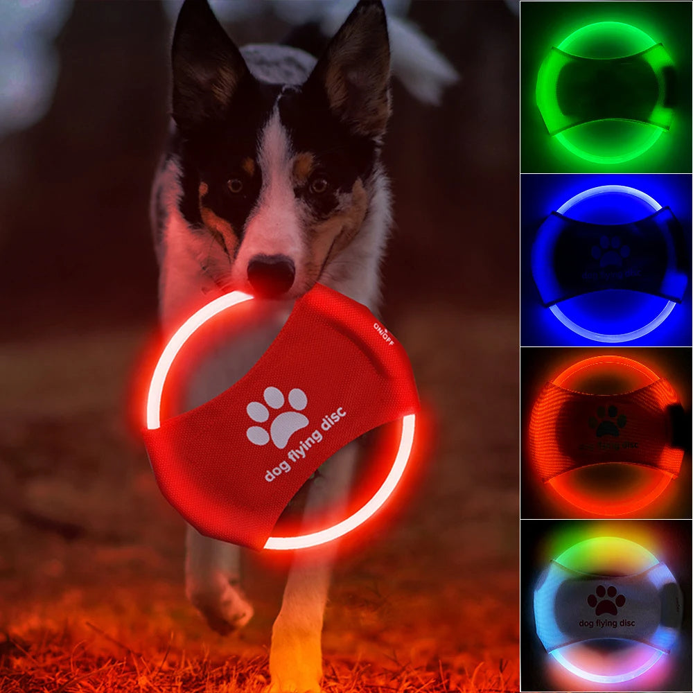 ED Glowing Dog Flying Disc - Interactive Training Toy