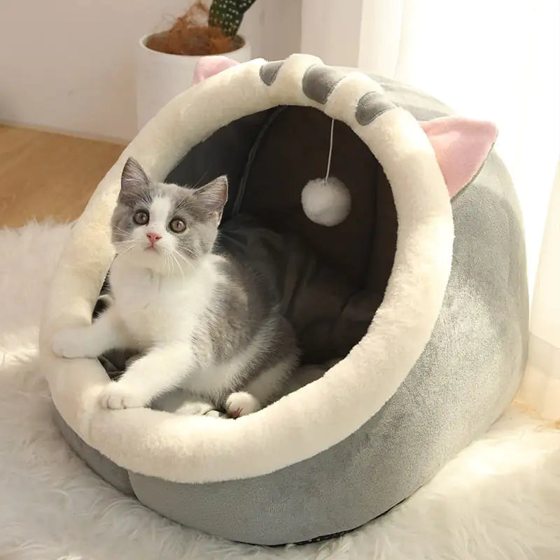 Ultimate Comfort for Your Feline Friend