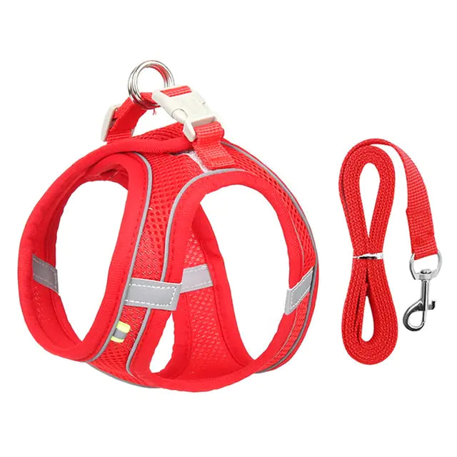 Harness Leash Set for Dogs