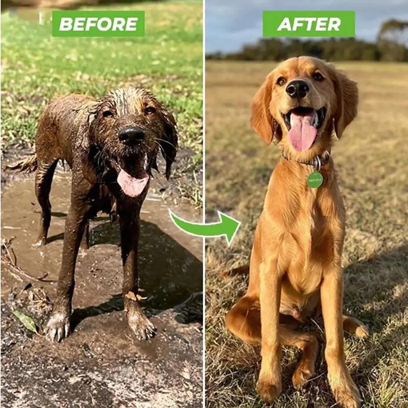 Pet Shower Hose Nozzle