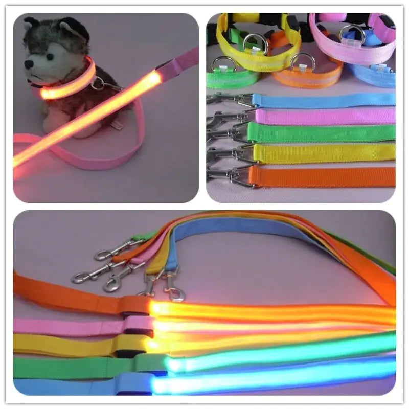 LED Dog Leash Rope