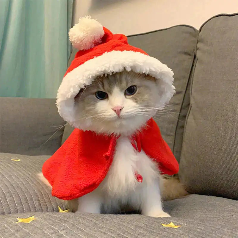 Festive Fur Holiday Attire