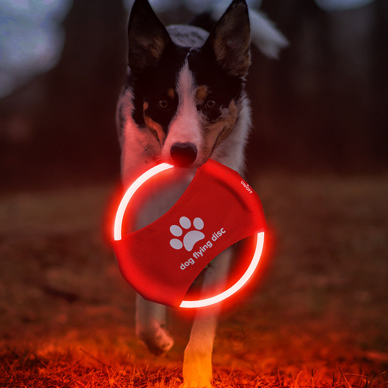 ED Glowing Dog Flying Disc - Interactive Training Toy