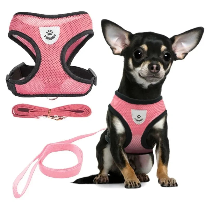 Adjustable Dog Harness