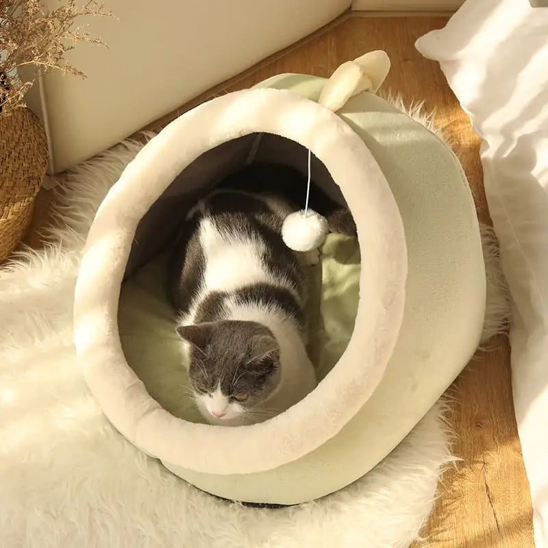 Ultimate Comfort for Your Feline Friend