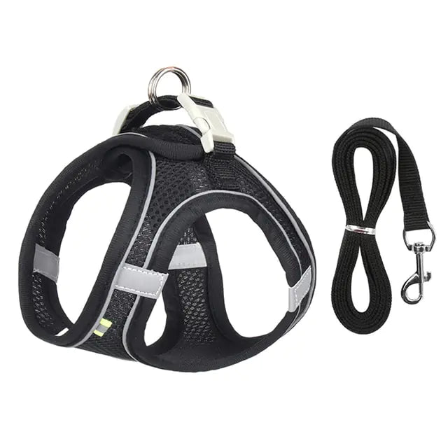 Harness Leash Set for Dogs