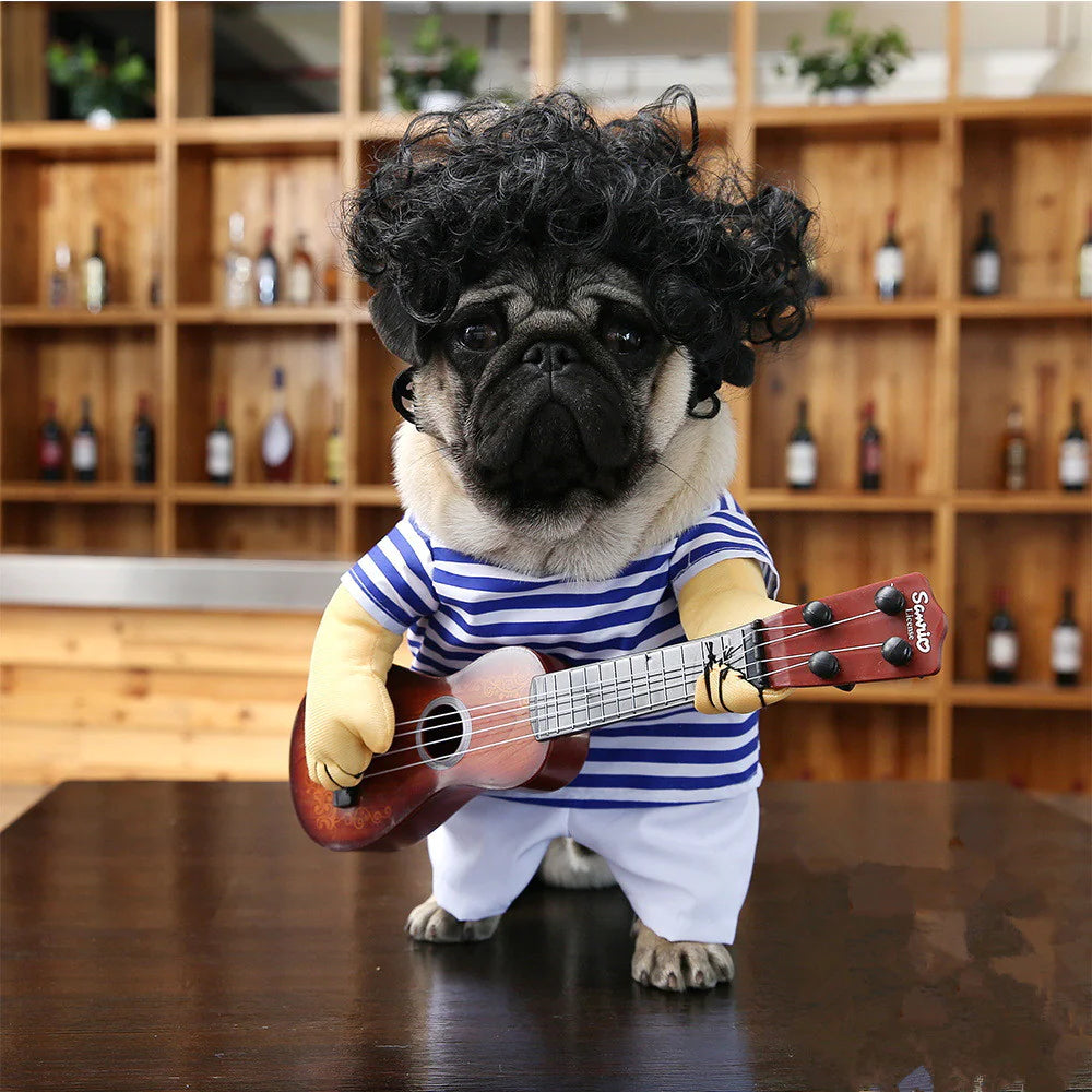 Pet Guitarist Costume