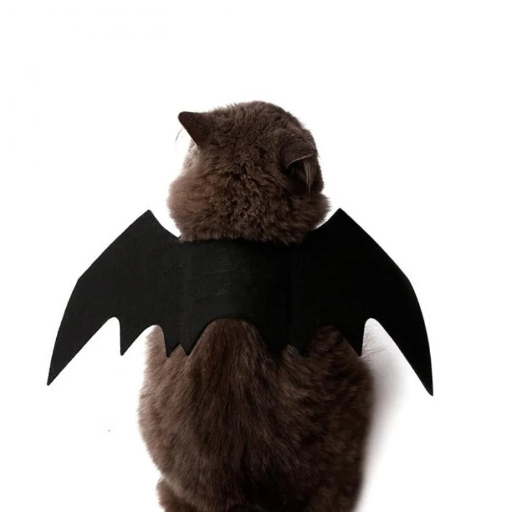 Halloween Cute Pet Clothes Black Bat