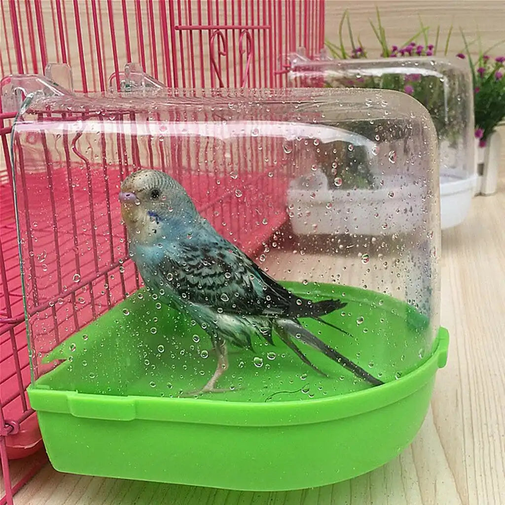 Parrot Bird Bathtub Box