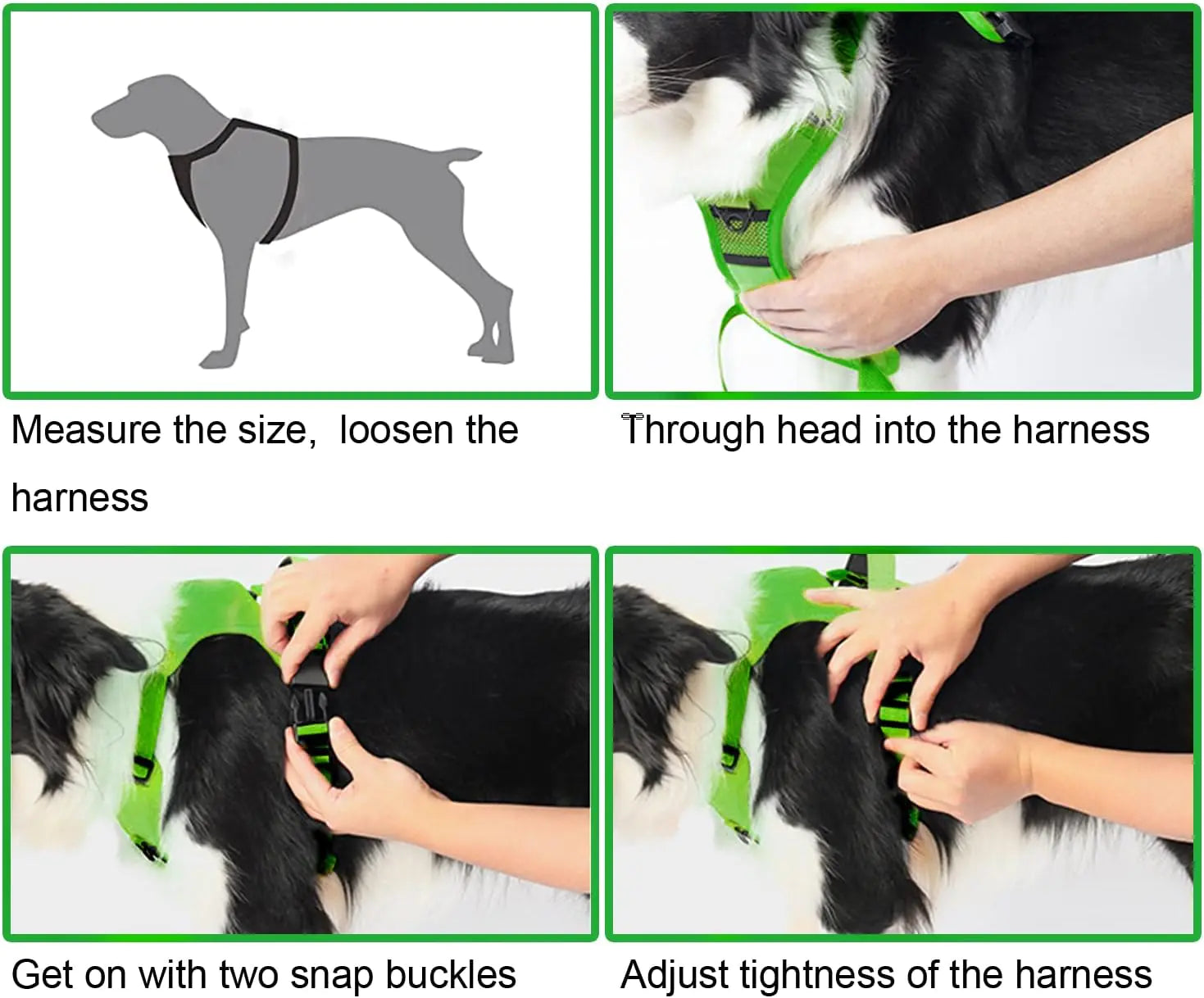 All-in-One Dog Harness